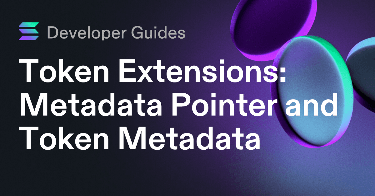 How to use the Metadata Pointer extension